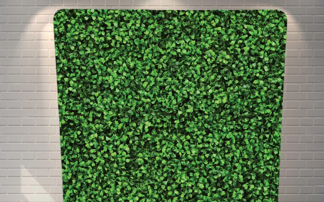 Hedge (1)